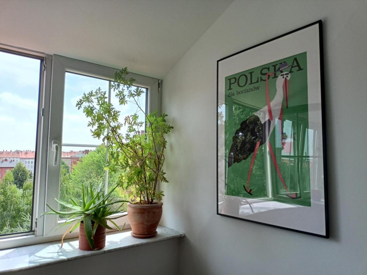 Lemuria Pokoje Hostel Chojnowska A Legnica Buitenkant foto