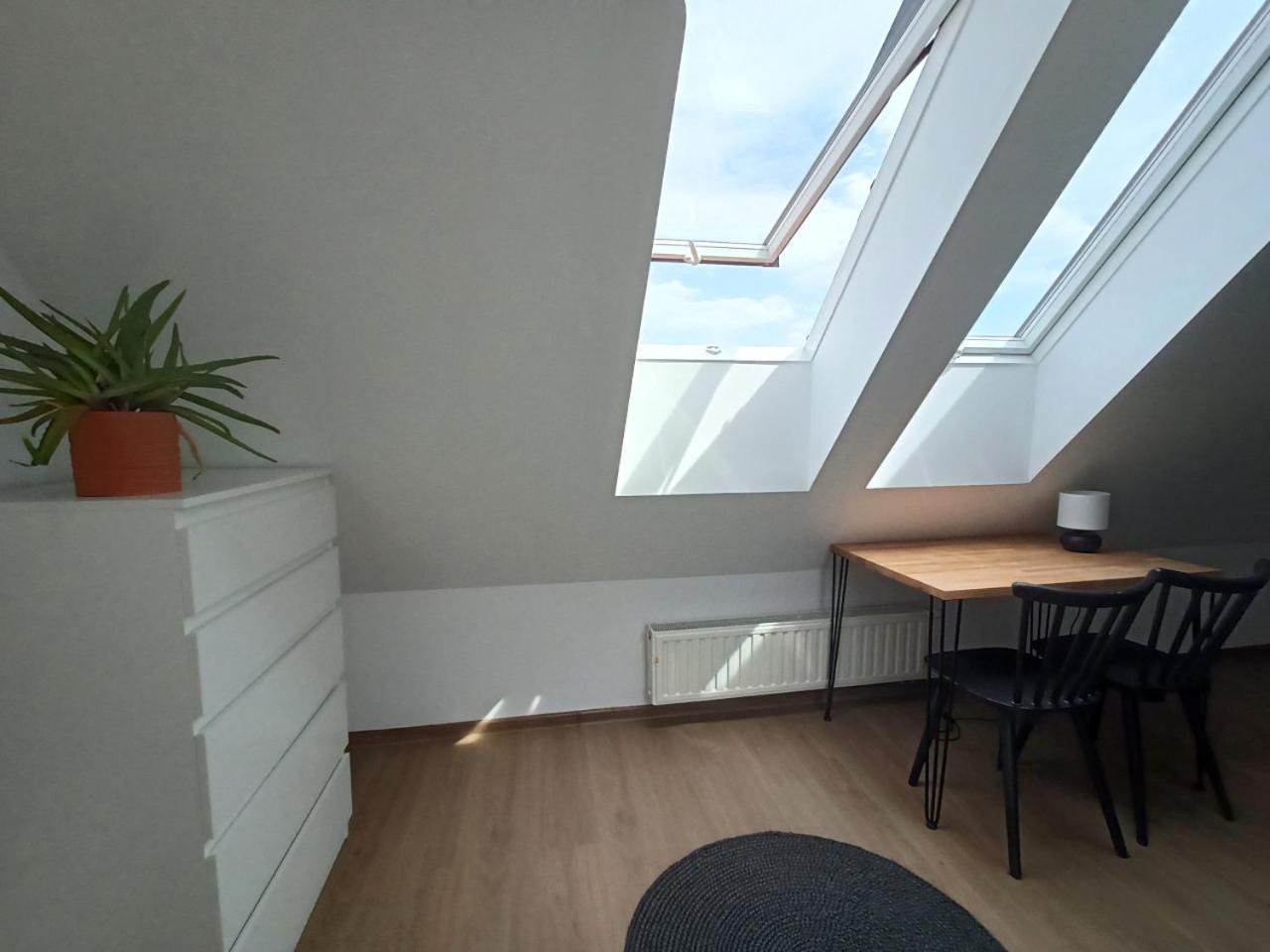 Lemuria Pokoje Hostel Chojnowska A Legnica Buitenkant foto