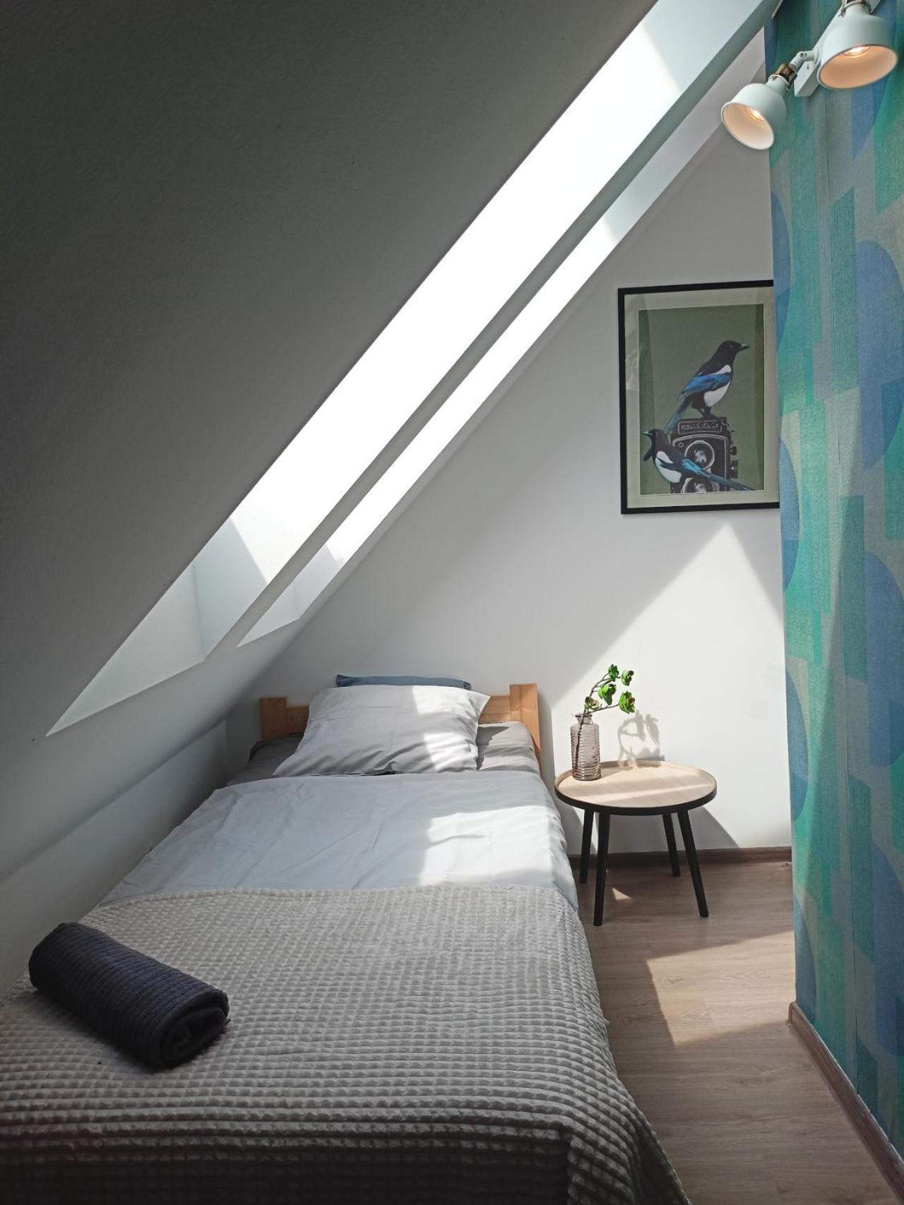 Lemuria Pokoje Hostel Chojnowska A Legnica Buitenkant foto