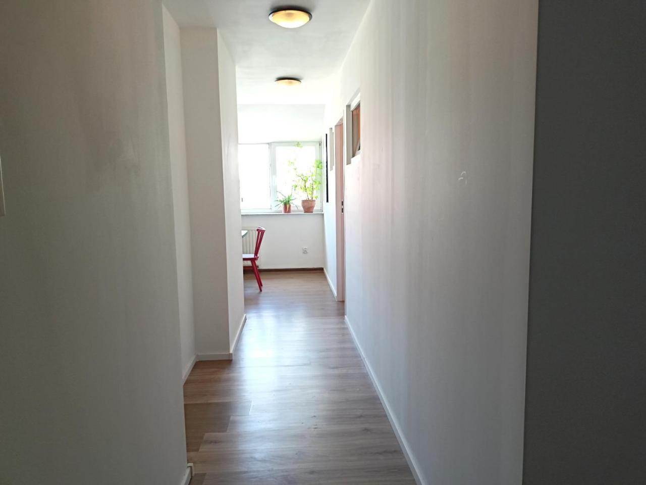 Lemuria Pokoje Hostel Chojnowska A Legnica Buitenkant foto